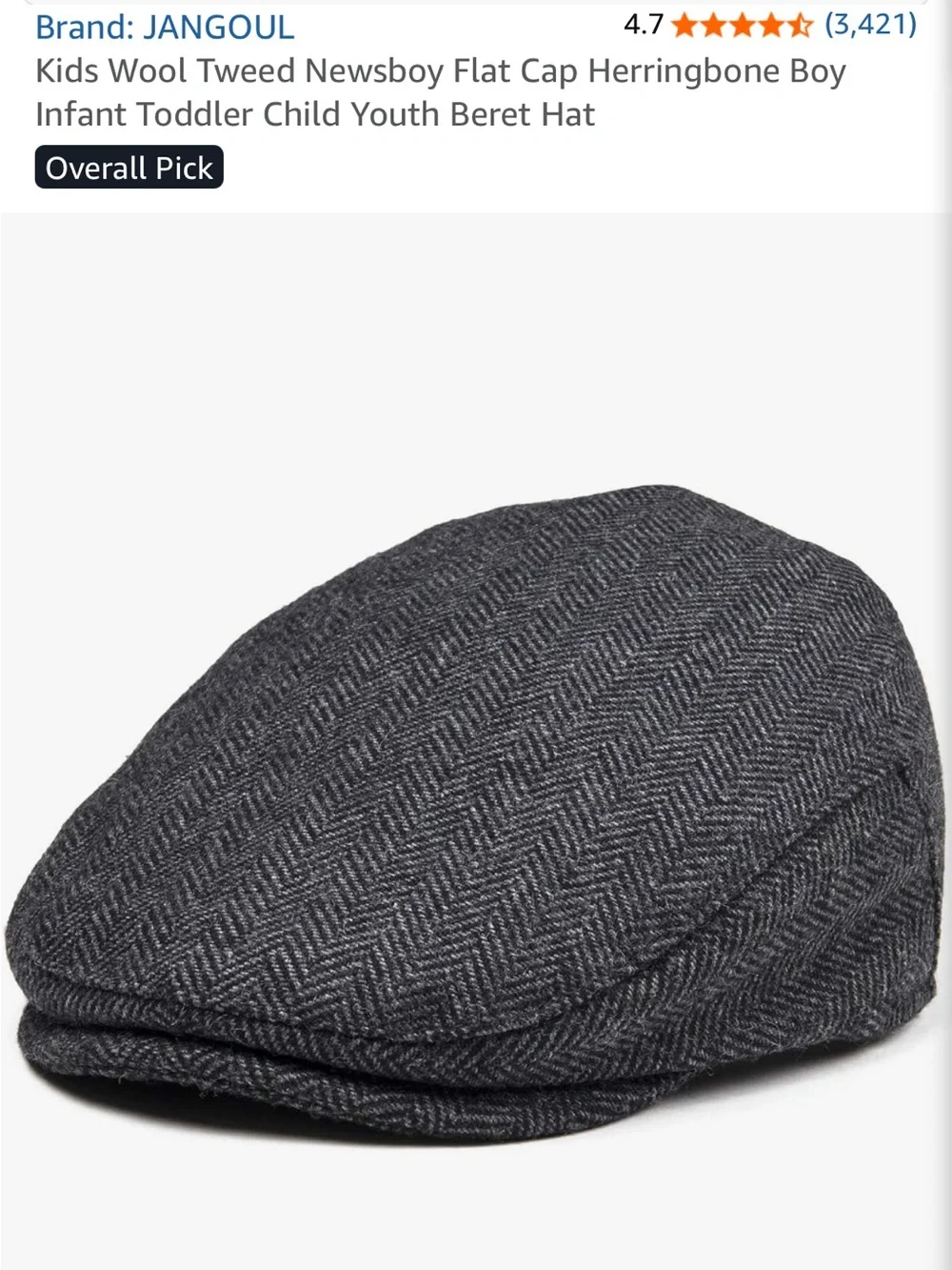 Kids Wool Tweed Newsboy Flat Cap Herringbone Boy Infant Toddler Child Youth Hat